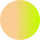 Pro Plan Icon